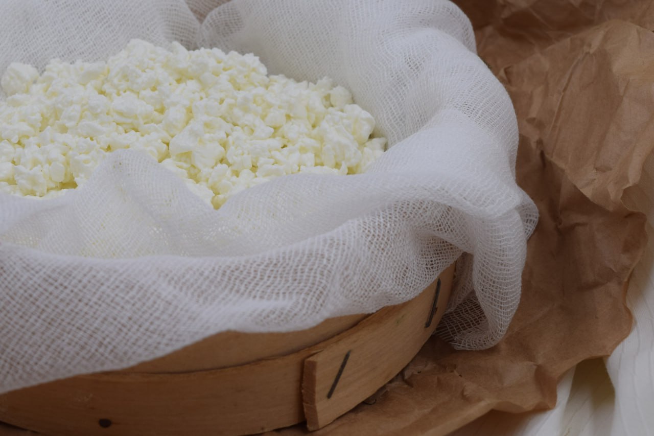 Творог из коровьего молока