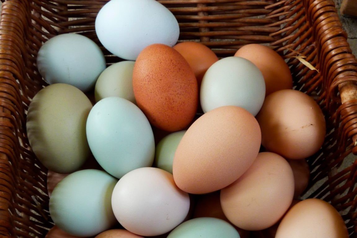 Яйца куриные