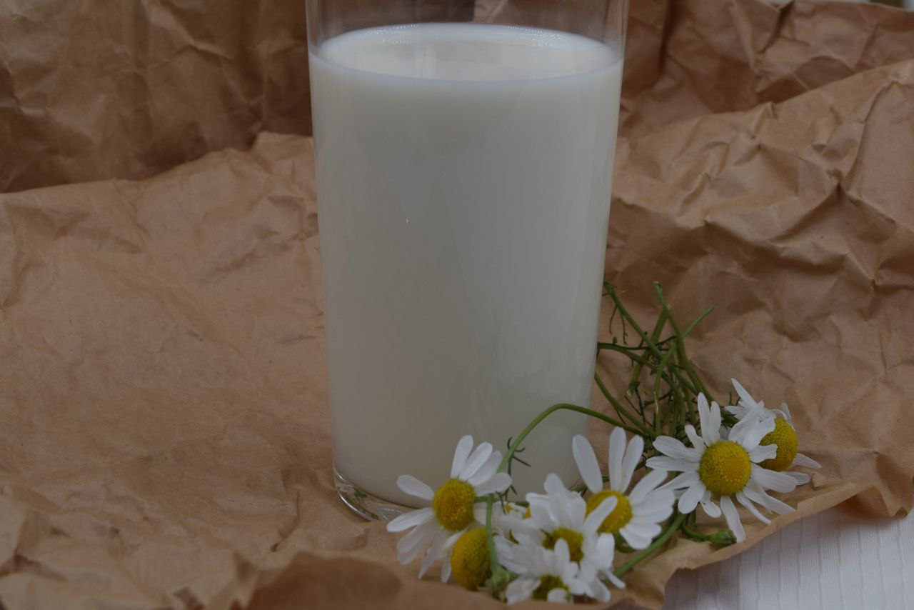 Кефир из овечьего молока