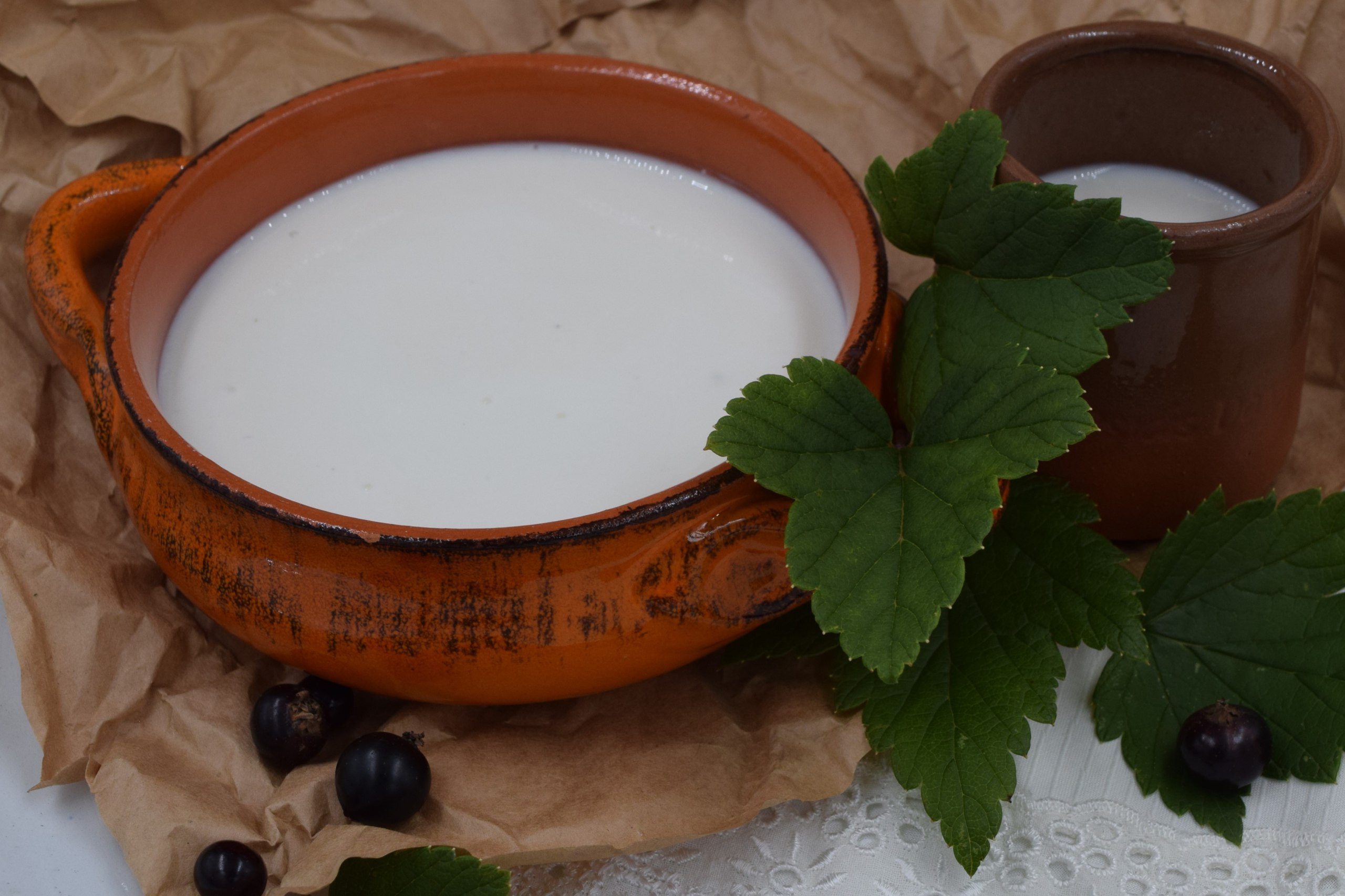 Йогурт термостатный из козьего молока